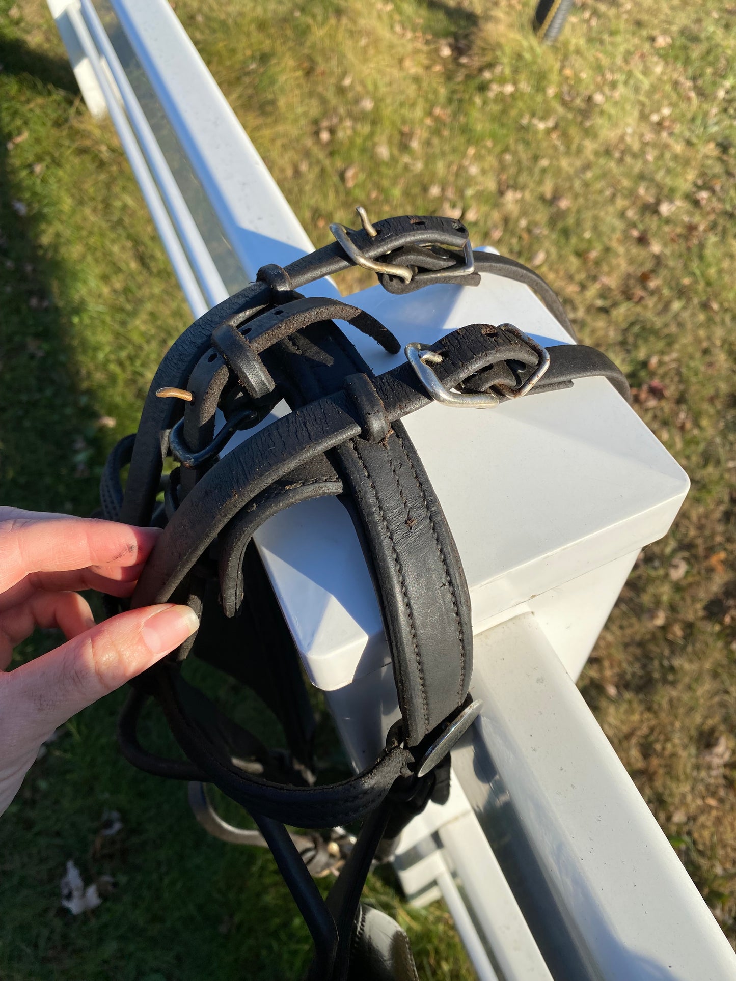 Donkey Driving Harness Leather Bridle with Blinders