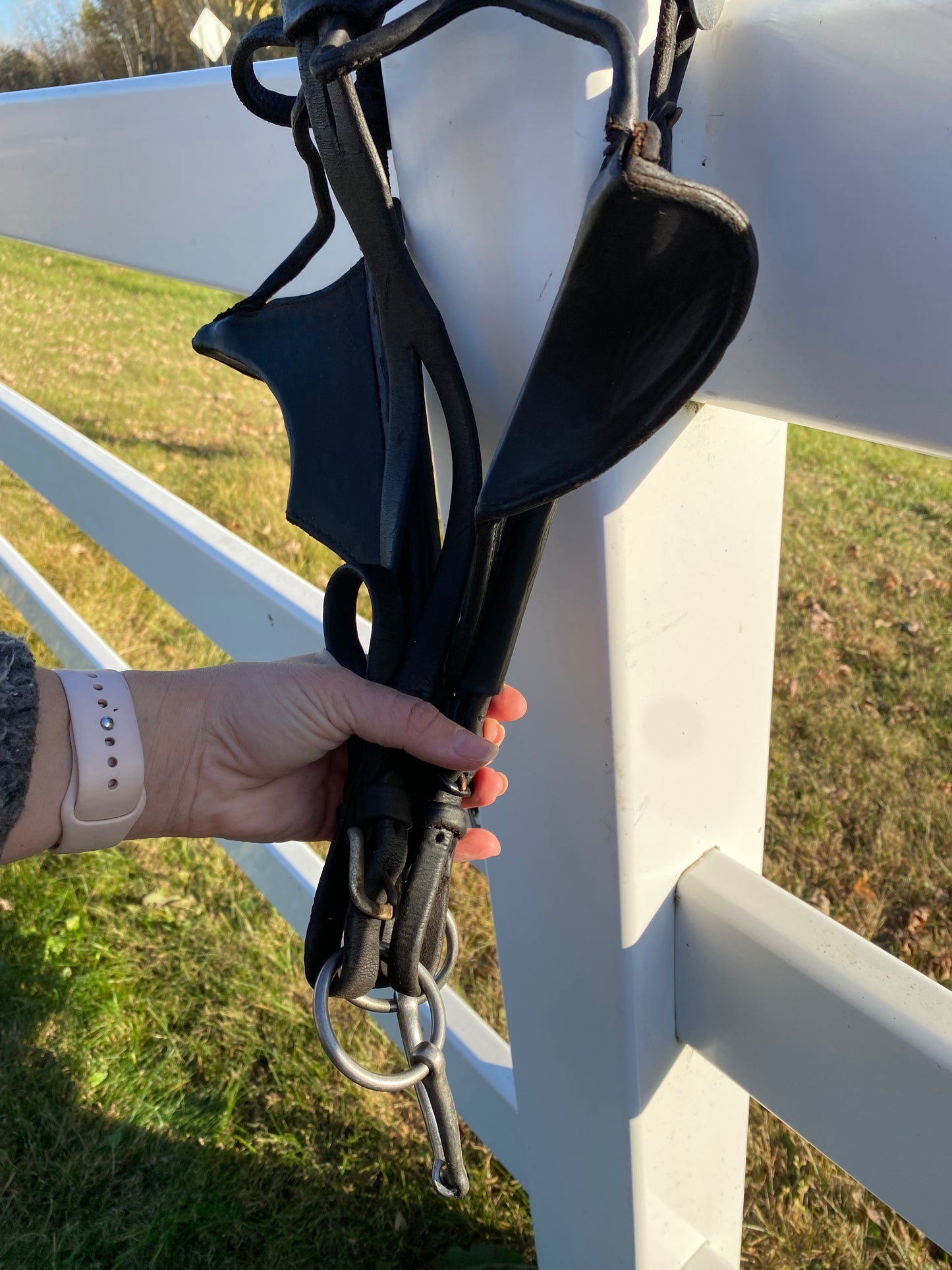 Donkey Driving Harness Leather Bridle with Blinders