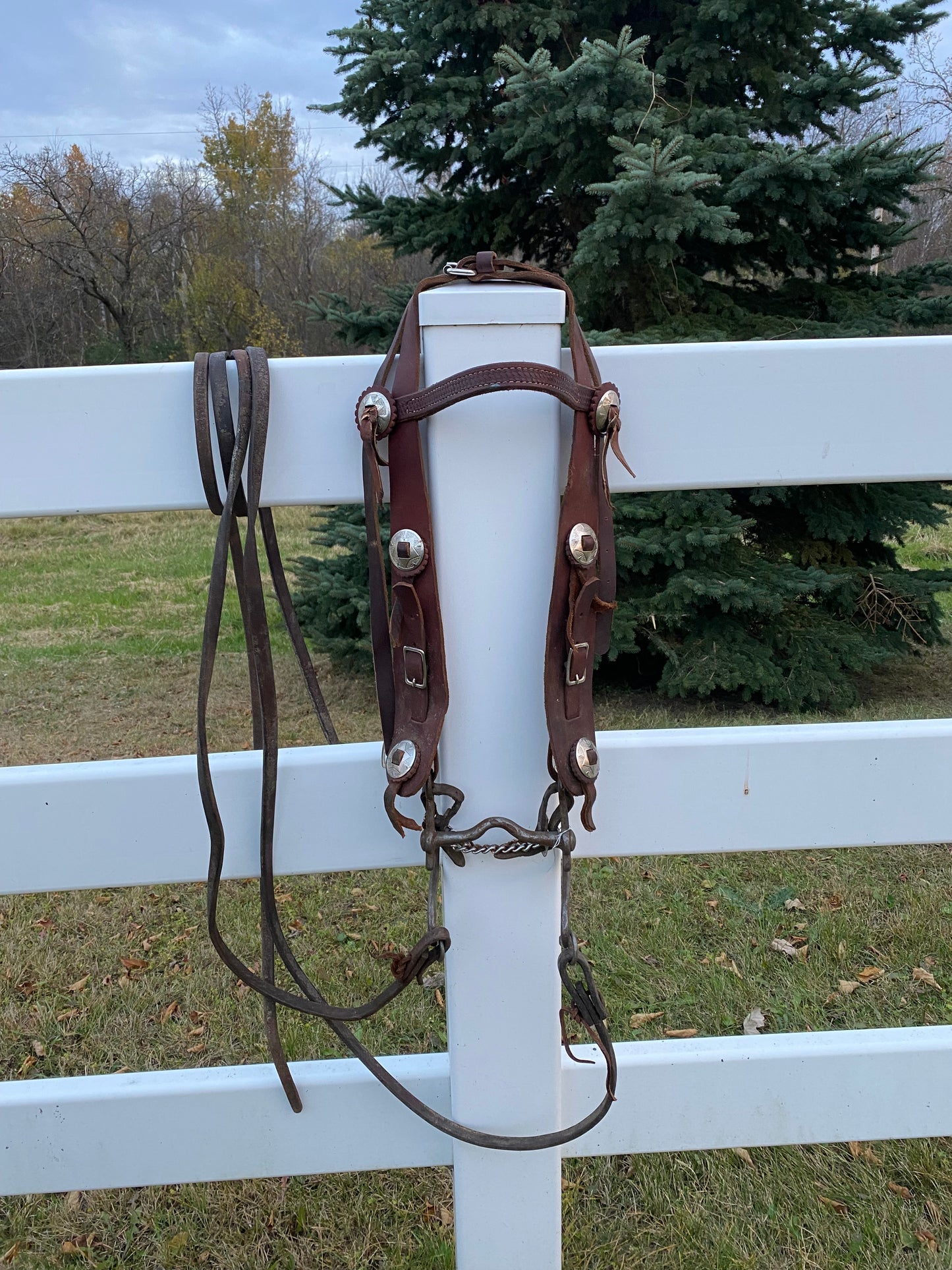 Antique Western Cowboy Silver Concho Bridle with Reins - Hand-Forged Cavalry Shank Curb Bit