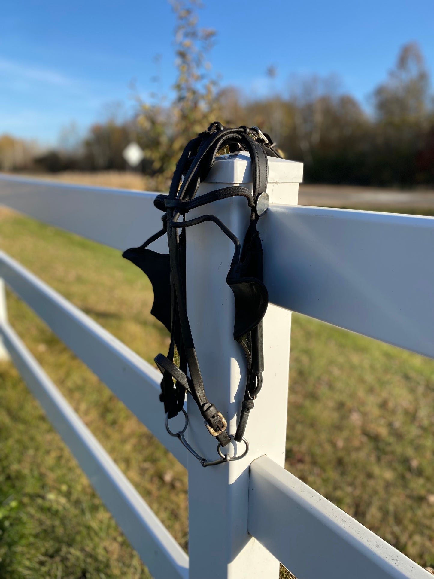 Donkey Driving Harness Leather Bridle with Blinders