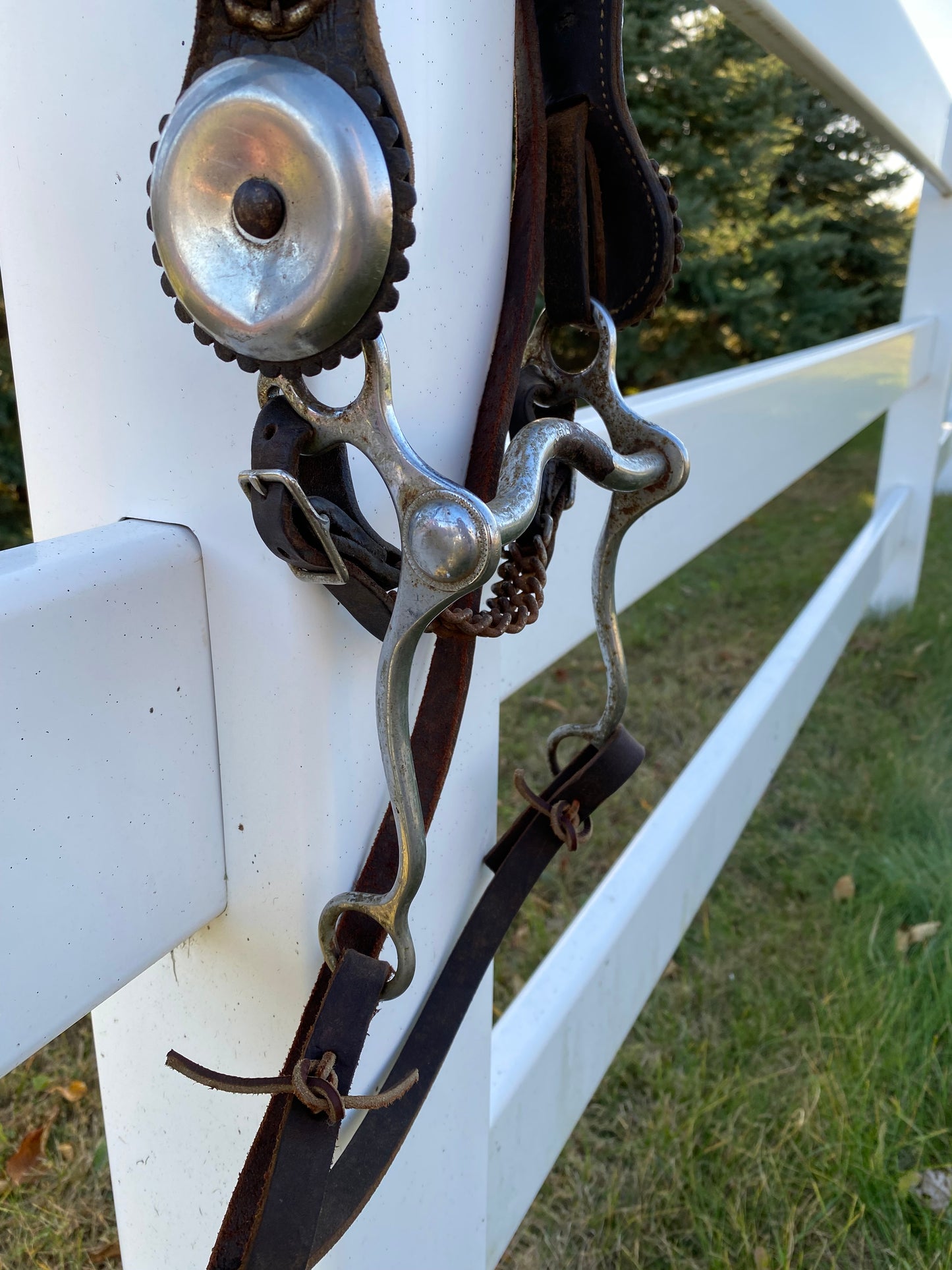 Vintage Oversized Silver Concho Horse Parade Bridle with Curb Bit & Reins
