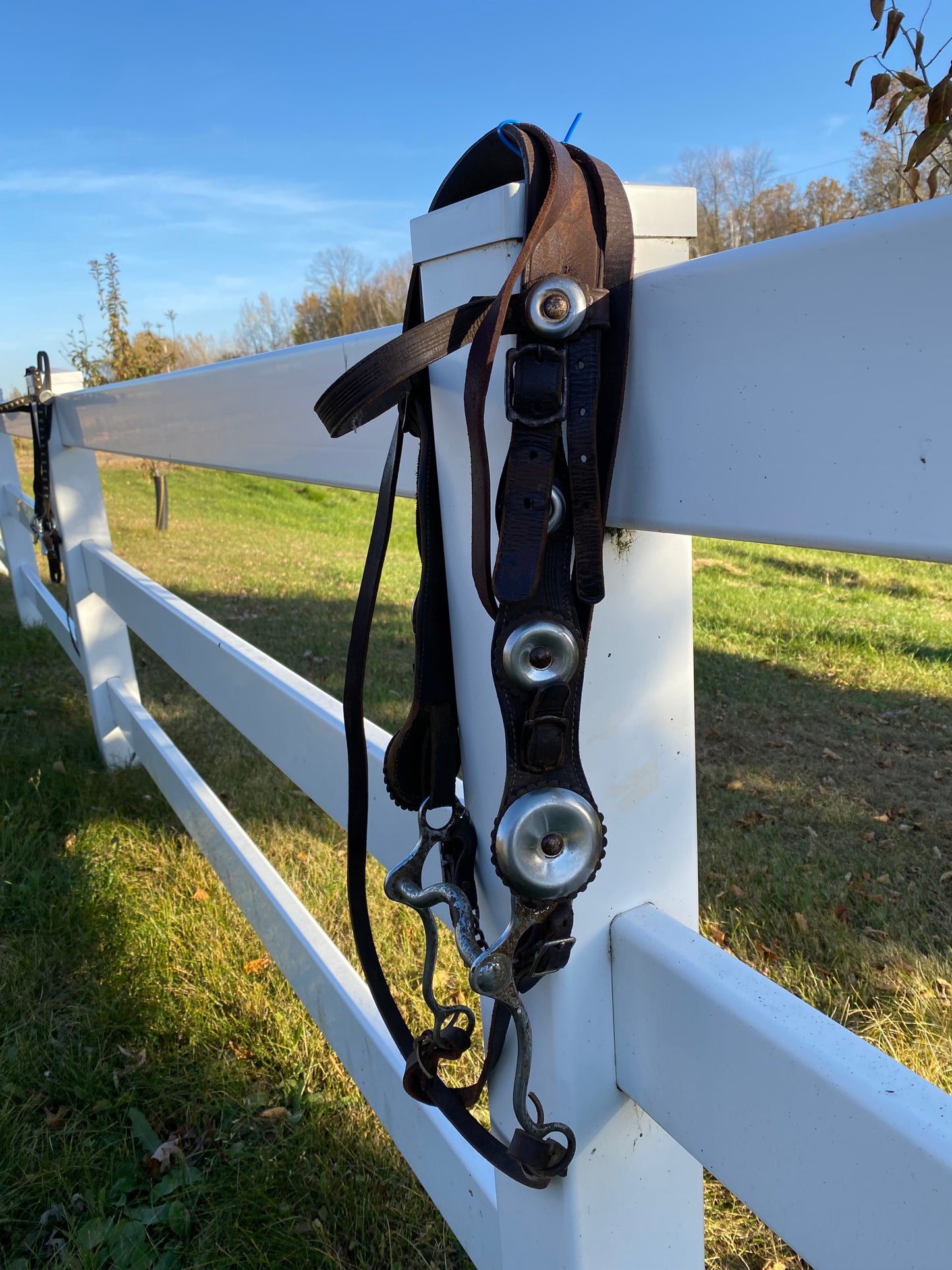 Vintage Oversized Silver Concho Horse Parade Bridle with Curb Bit & Reins
