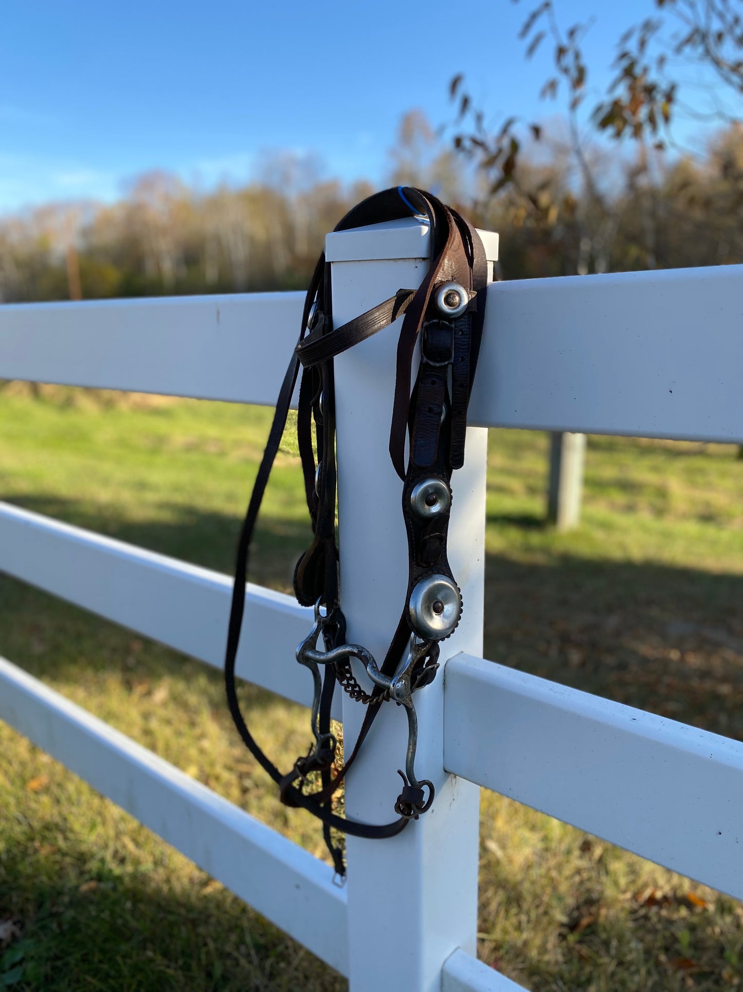 Vintage Oversized Silver Concho Horse Parade Bridle with Curb Bit & Reins