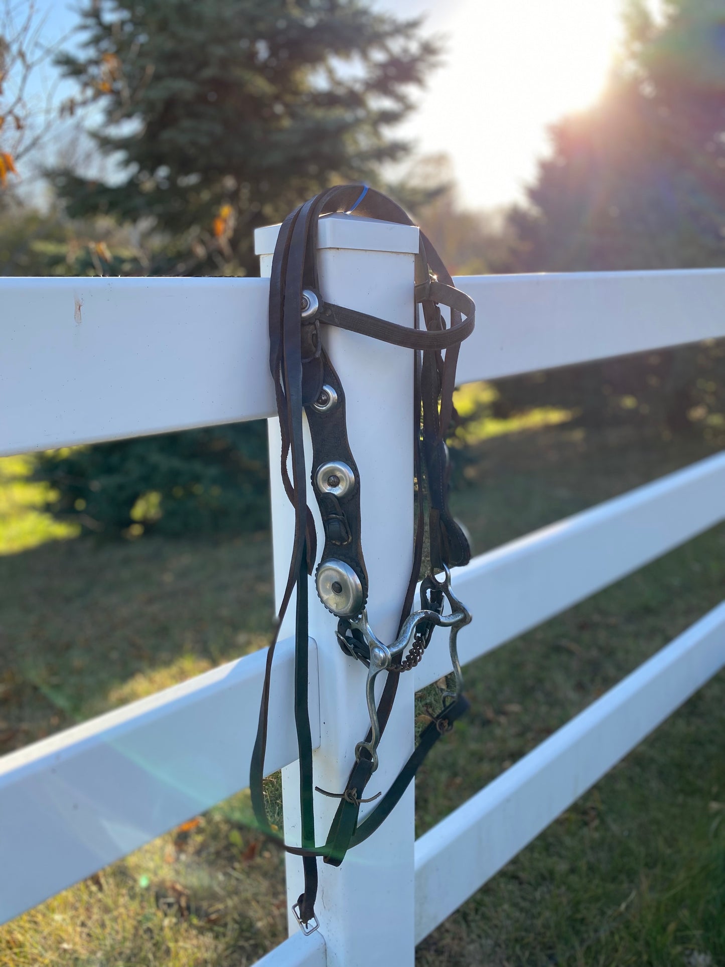 Vintage Oversized Silver Concho Horse Parade Bridle with Curb Bit & Reins