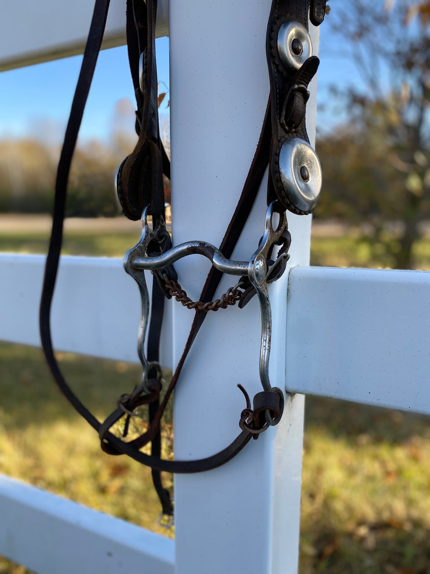 Vintage Oversized Silver Concho Horse Parade Bridle with Curb Bit & Reins