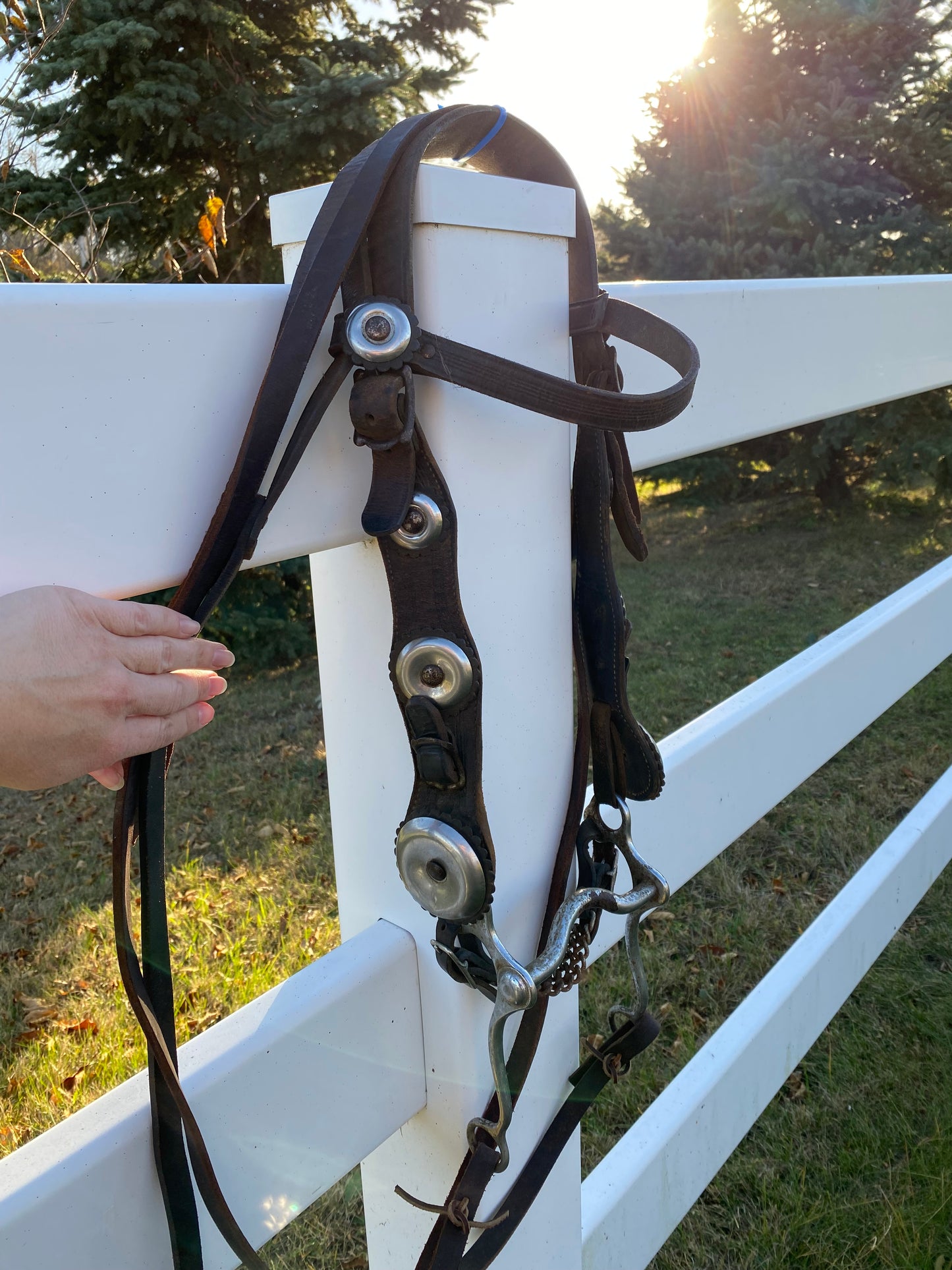 Vintage Oversized Silver Concho Horse Parade Bridle with Curb Bit & Reins