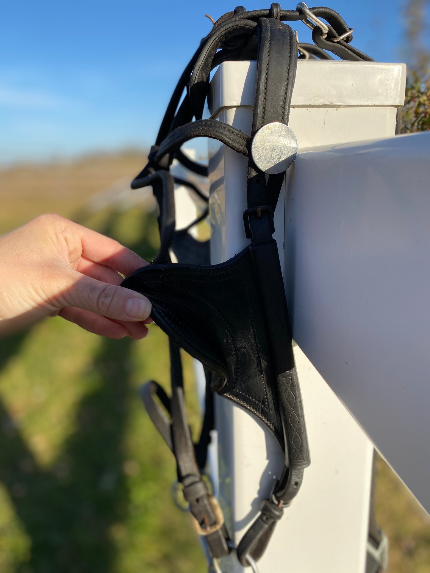 Donkey Driving Harness Leather Bridle with Blinders