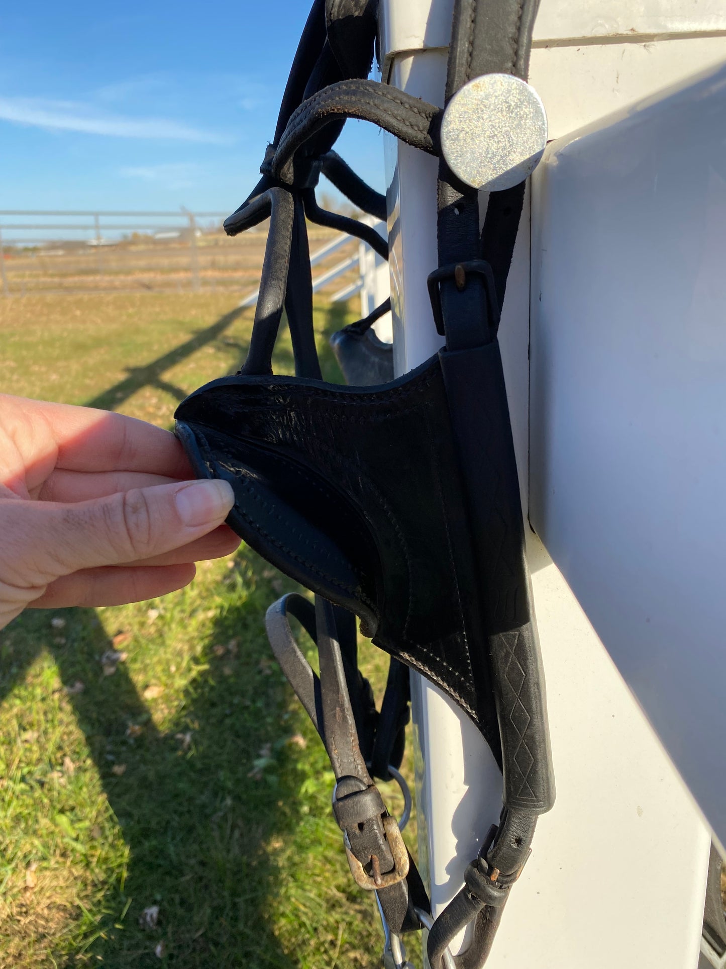 Donkey Driving Harness Leather Bridle with Blinders