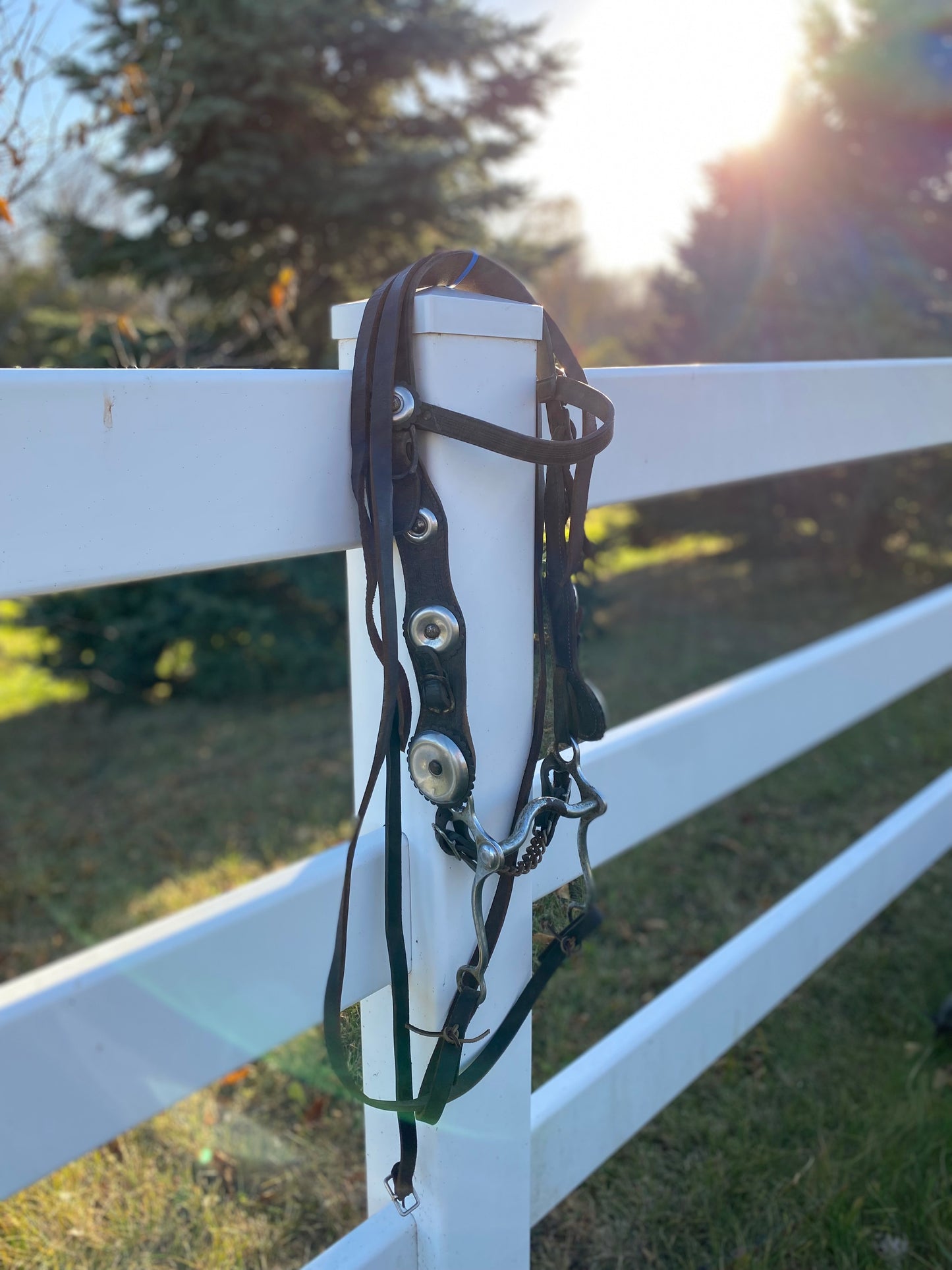 Vintage Oversized Silver Concho Horse Parade Bridle with Curb Bit & Reins