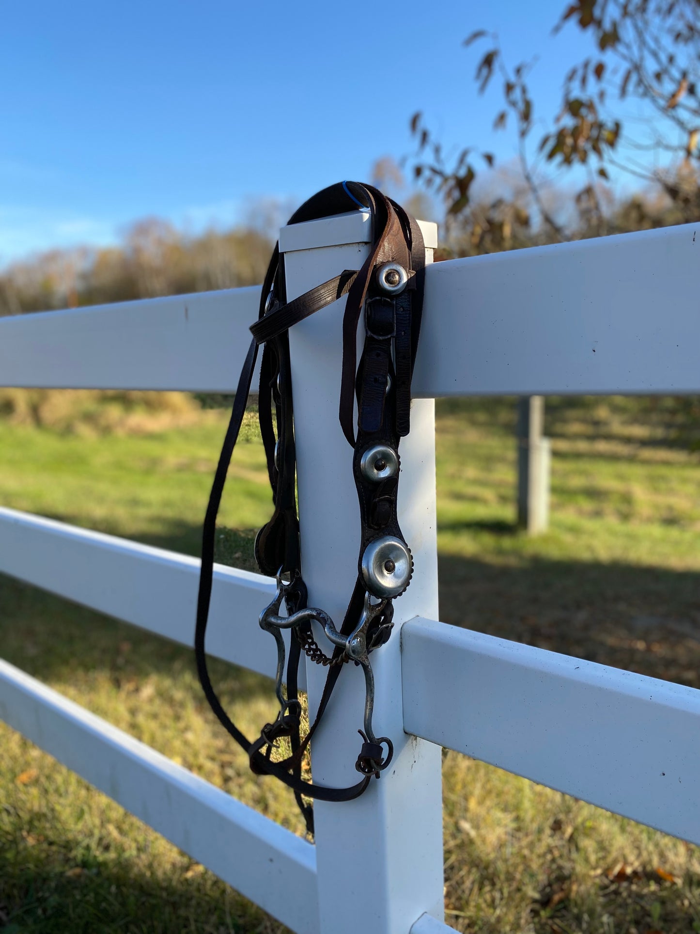 Vintage Oversized Silver Concho Horse Parade Bridle with Curb Bit & Reins