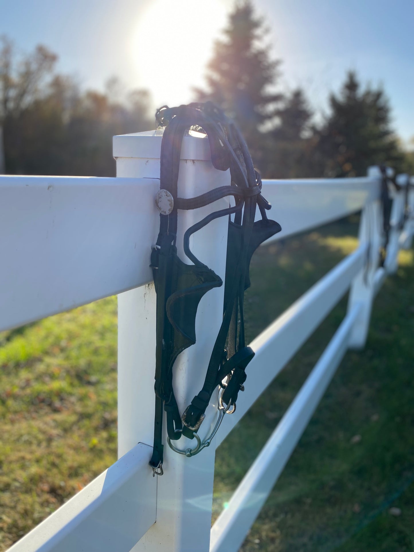 Donkey Driving Harness Leather Bridle with Blinders