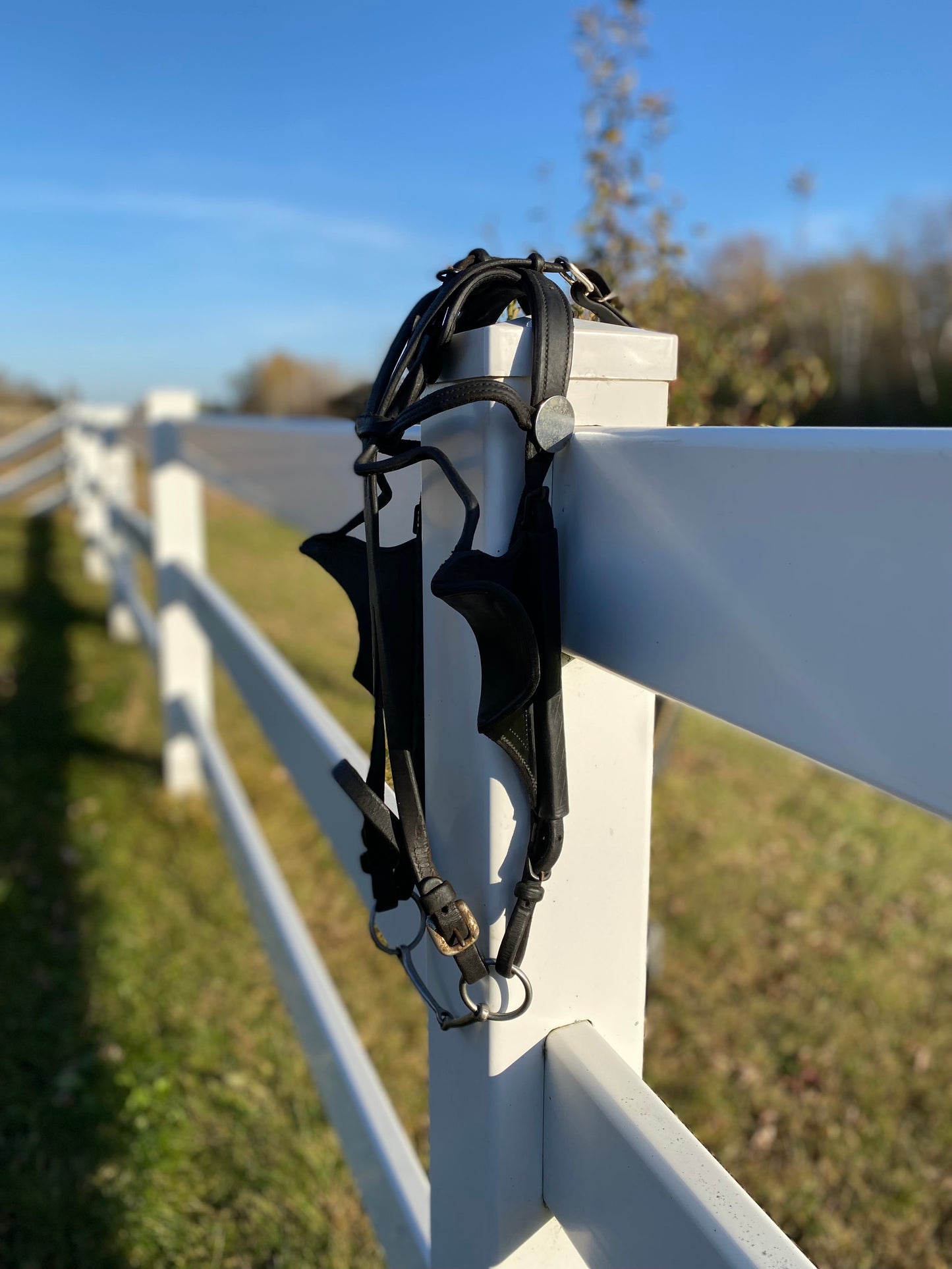 Donkey Driving Harness Leather Bridle with Blinders