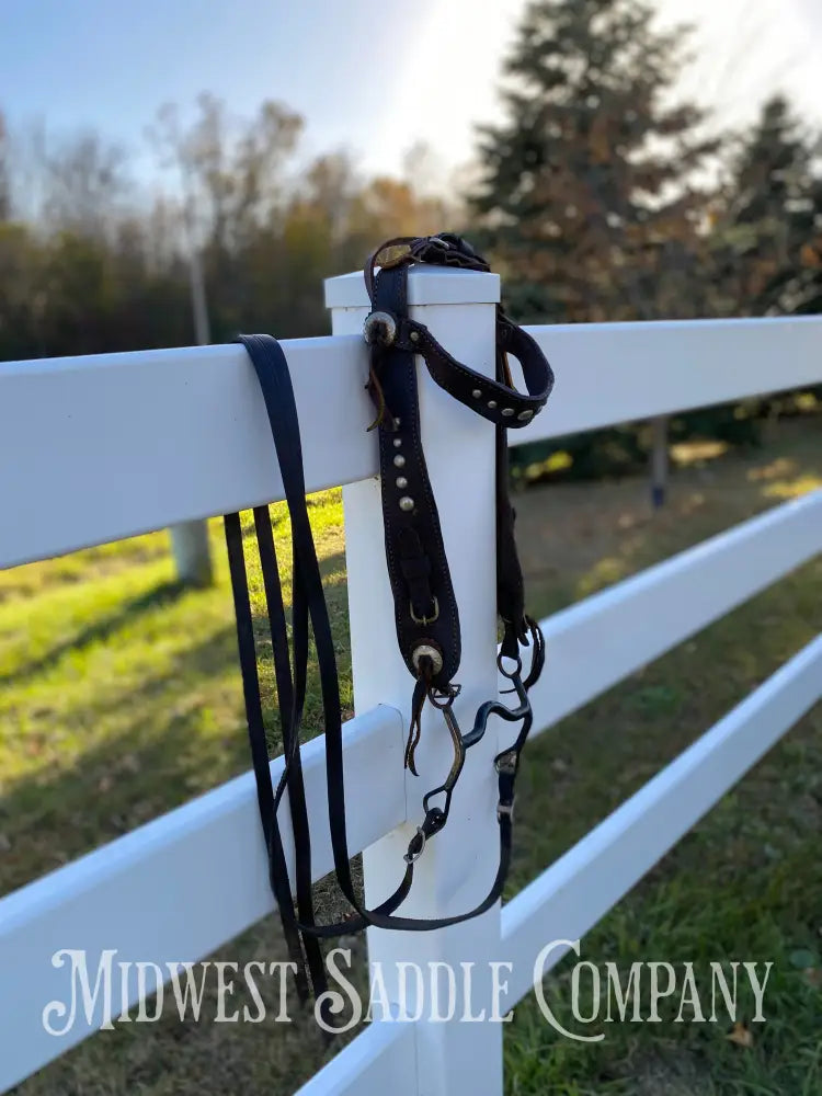 Antique Collector Leather Horse Studded Dot Bridle with Reins - Vintage Bit with Silver Accent Bridles & Headstalls