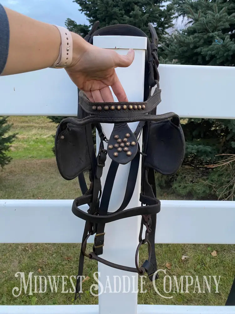 Antique U.S. Cavalry Horse Team Leather Harnesses - Great Condition! Driving Harness