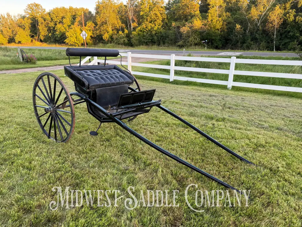 Beautiful Amish Maiden Wooden Cart Blue & Black