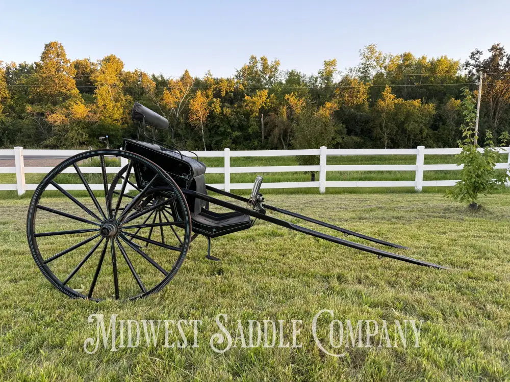 Beautiful Amish Maiden Wooden Cart Blue & Black