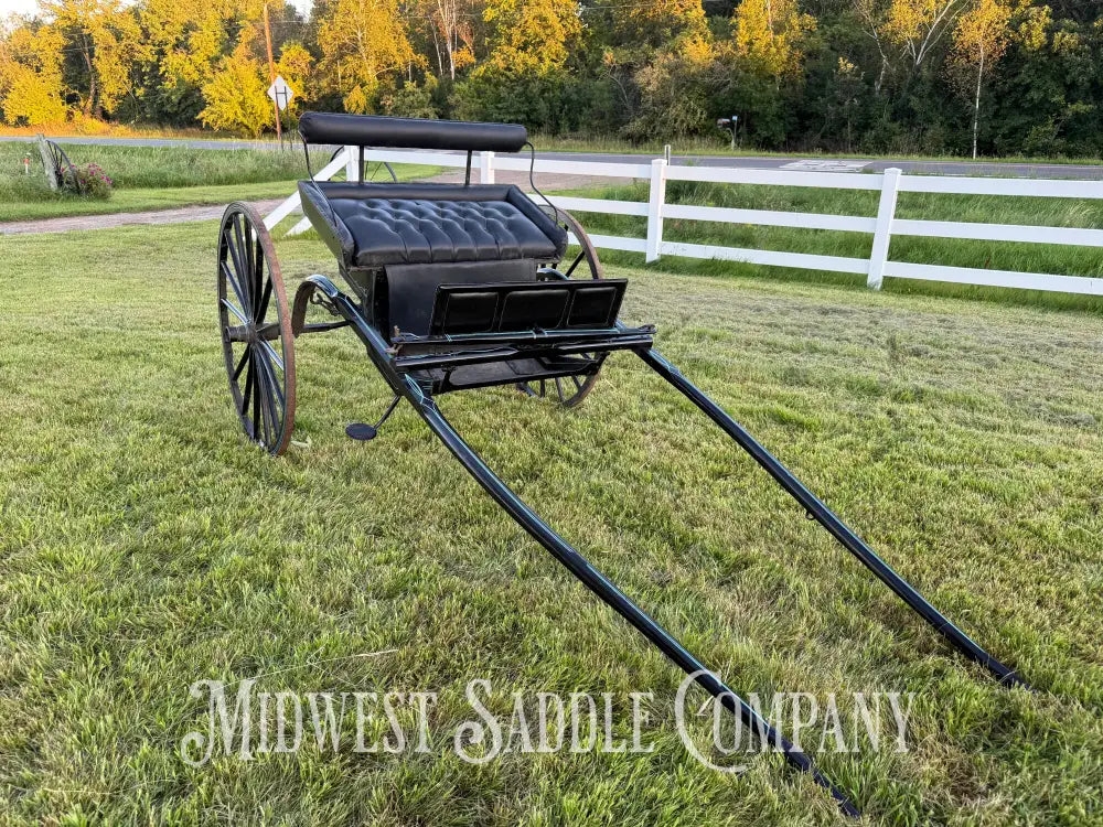 Beautiful Amish Maiden Wooden Cart Blue & Black