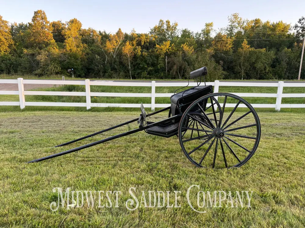 Beautiful Amish Maiden Wooden Cart Blue & Black