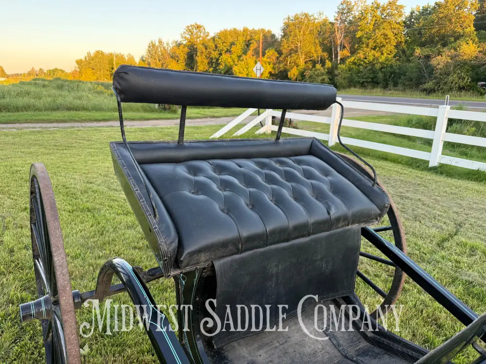 Beautiful Amish Maiden Wooden Cart Blue & Black