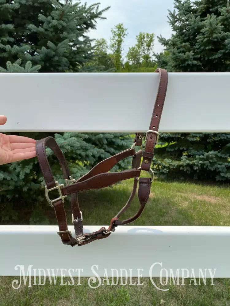 Circle Y Scalloped Leather Halter Yearling Size Horse Tack