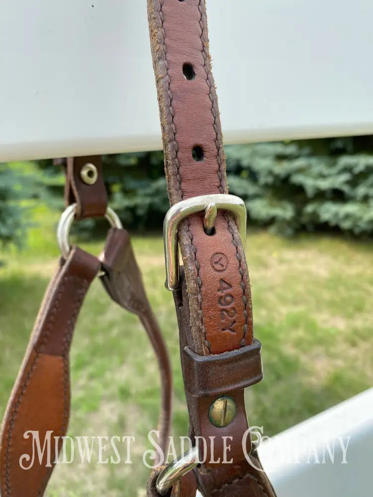 Circle Y Scalloped Leather Halter Yearling Size Horse Tack