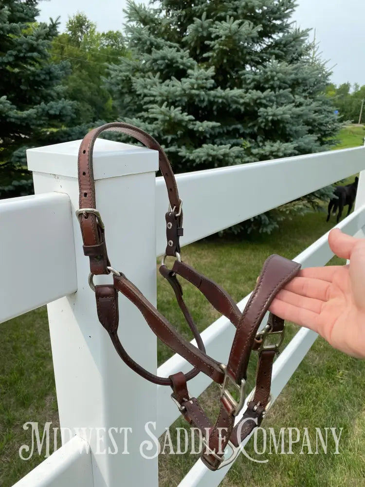 Circle Y Scalloped Leather Halter Yearling Size Horse Tack