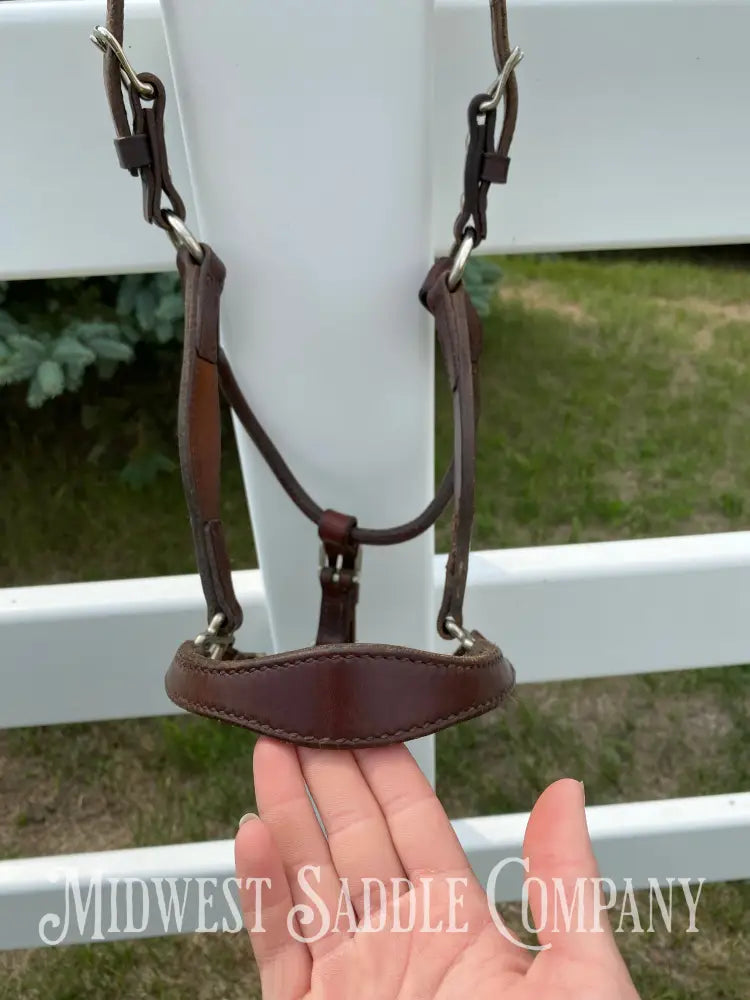 Circle Y Scalloped Leather Halter Yearling Size Horse Tack