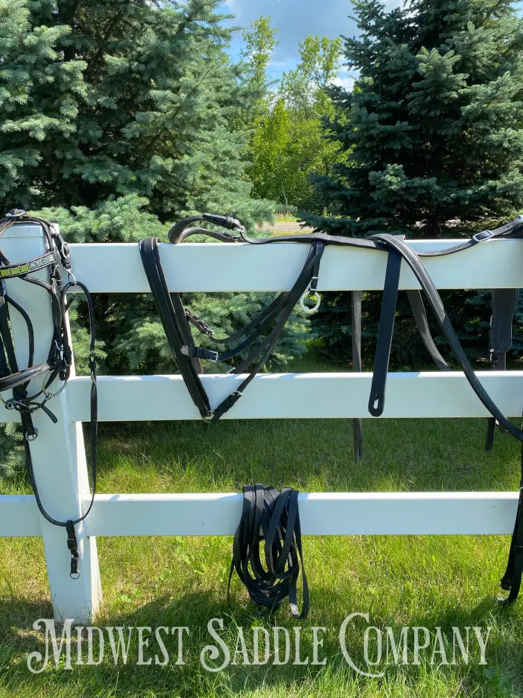 Light Horse Team Leather Driving Harnesses - Show / Parade Harness