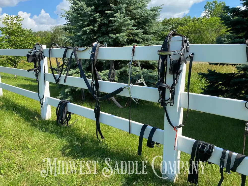 Light Horse Team Leather Driving Harnesses - Show / Parade Harness