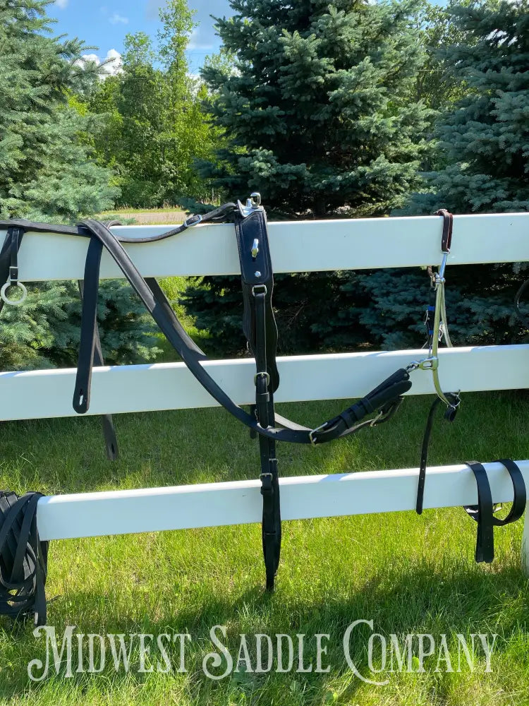 Light Horse Team Leather Driving Harnesses - Show / Parade Harness