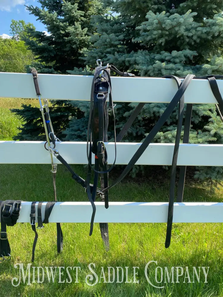 Light Horse Team Leather Driving Harnesses - Show / Parade Harness