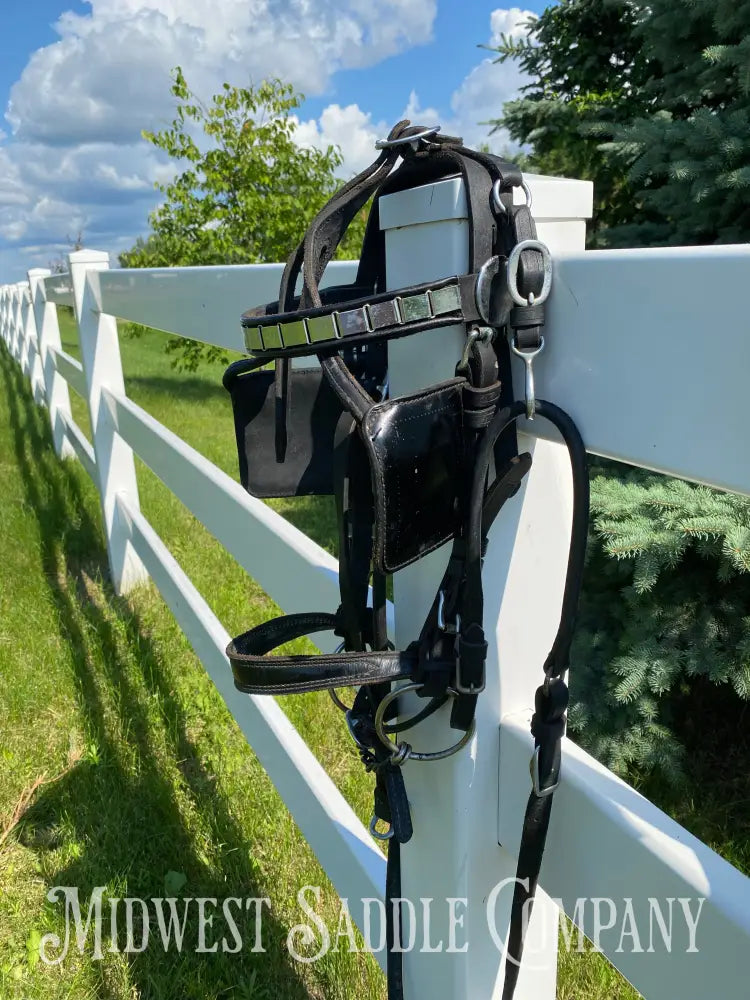 Light Horse Team Leather Driving Harnesses - Show / Parade Harness