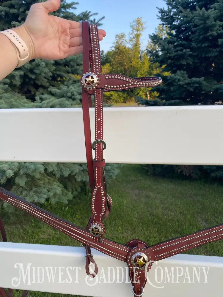 Like New Weaver Leather Texas Star Complete Tack Set - Nwot Horse Headstall Breast Collar Reins