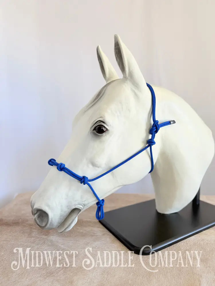 Sundance Rope Halters Training Halter 4 Knots Royal Blue - Small Horse Size Halter