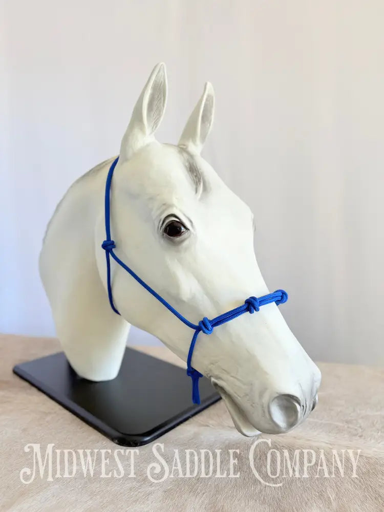 Sundance Rope Halters Training Halter 4 Knots Royal Blue - Small Horse Size Halter