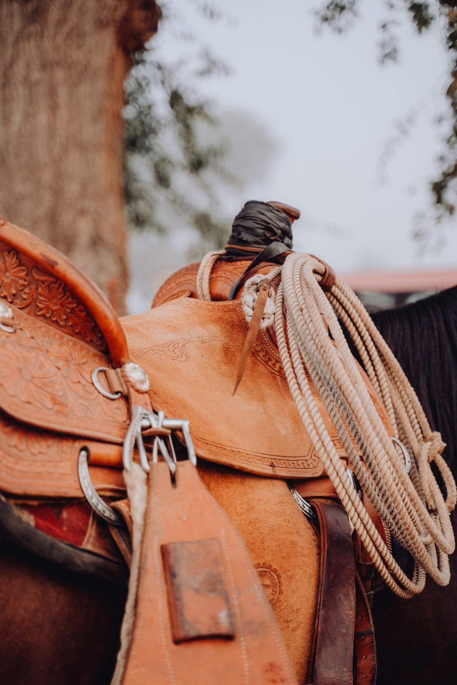 Western Saddles