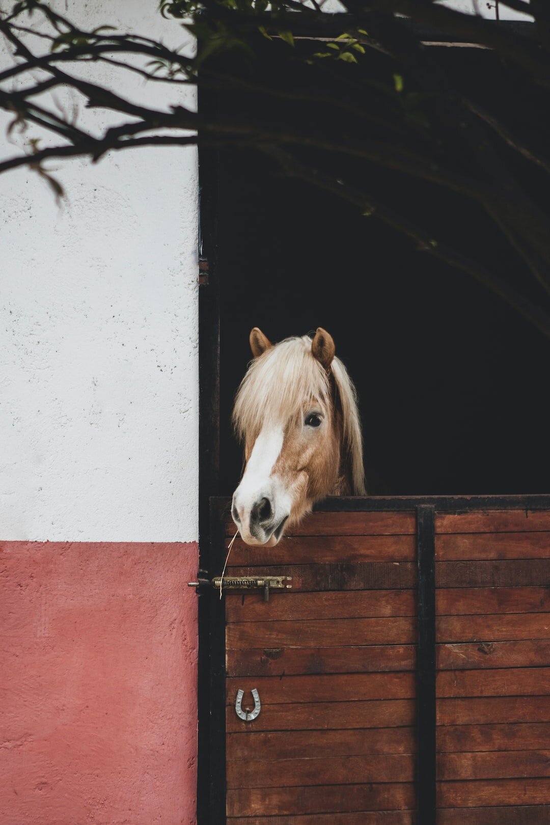 Pony Tack