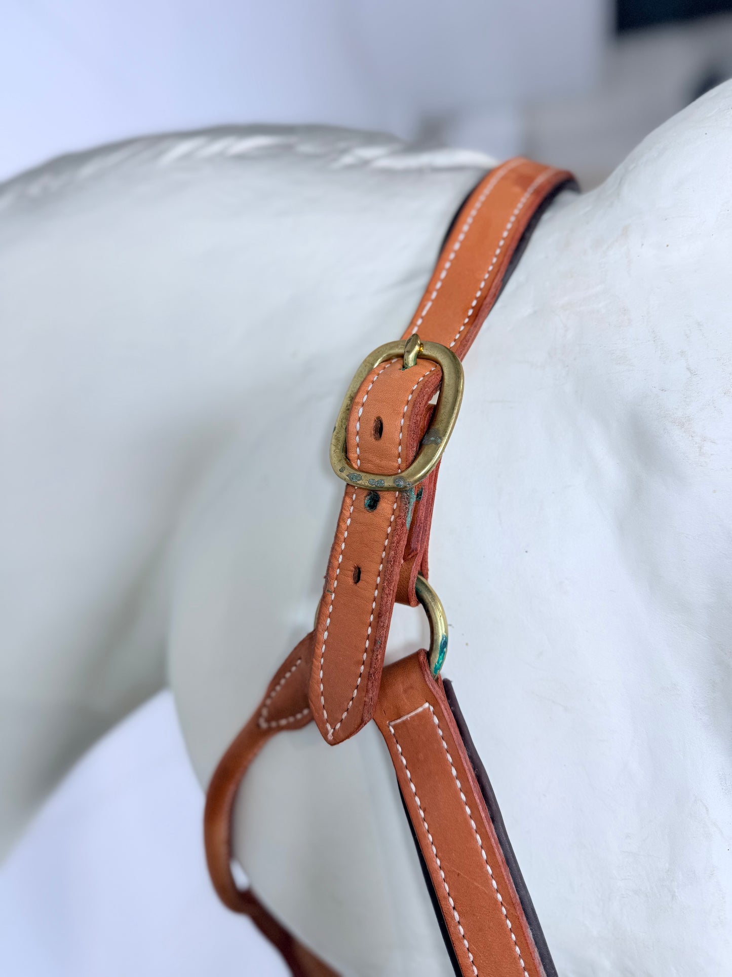 Fully Adjustable Padded Leather Halter, Large Horse Size