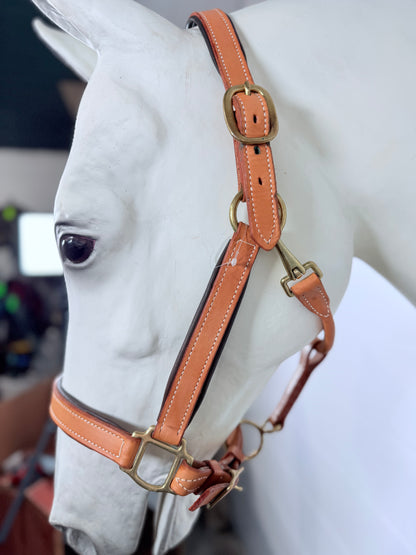 Fully Adjustable Padded Leather Halter, Large Horse Size