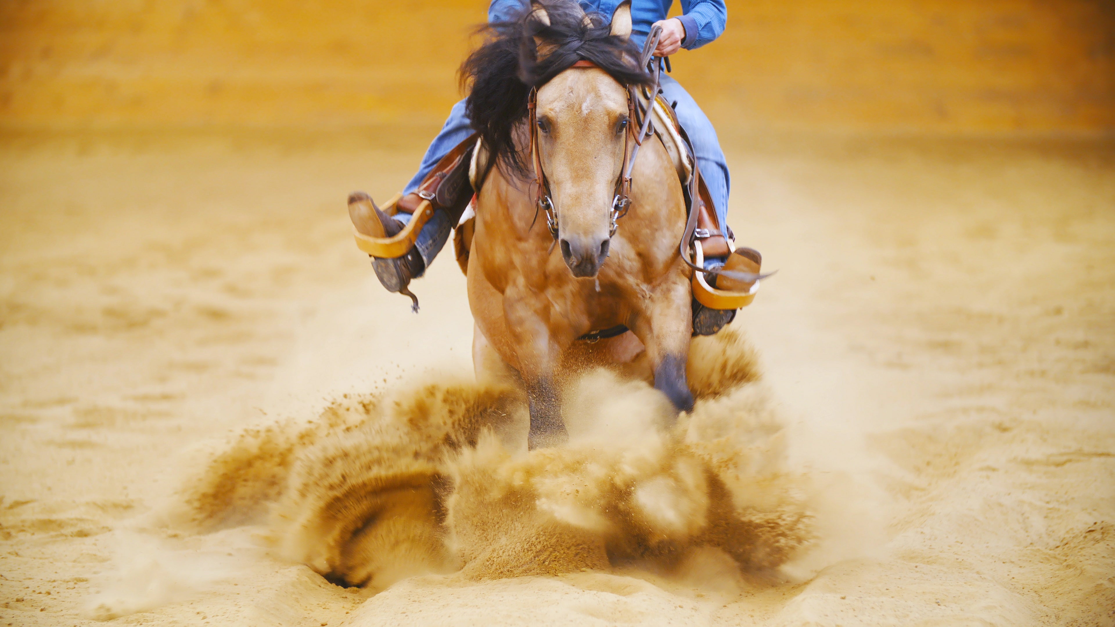 Horse and rider in a dirt arena, kicking up dust