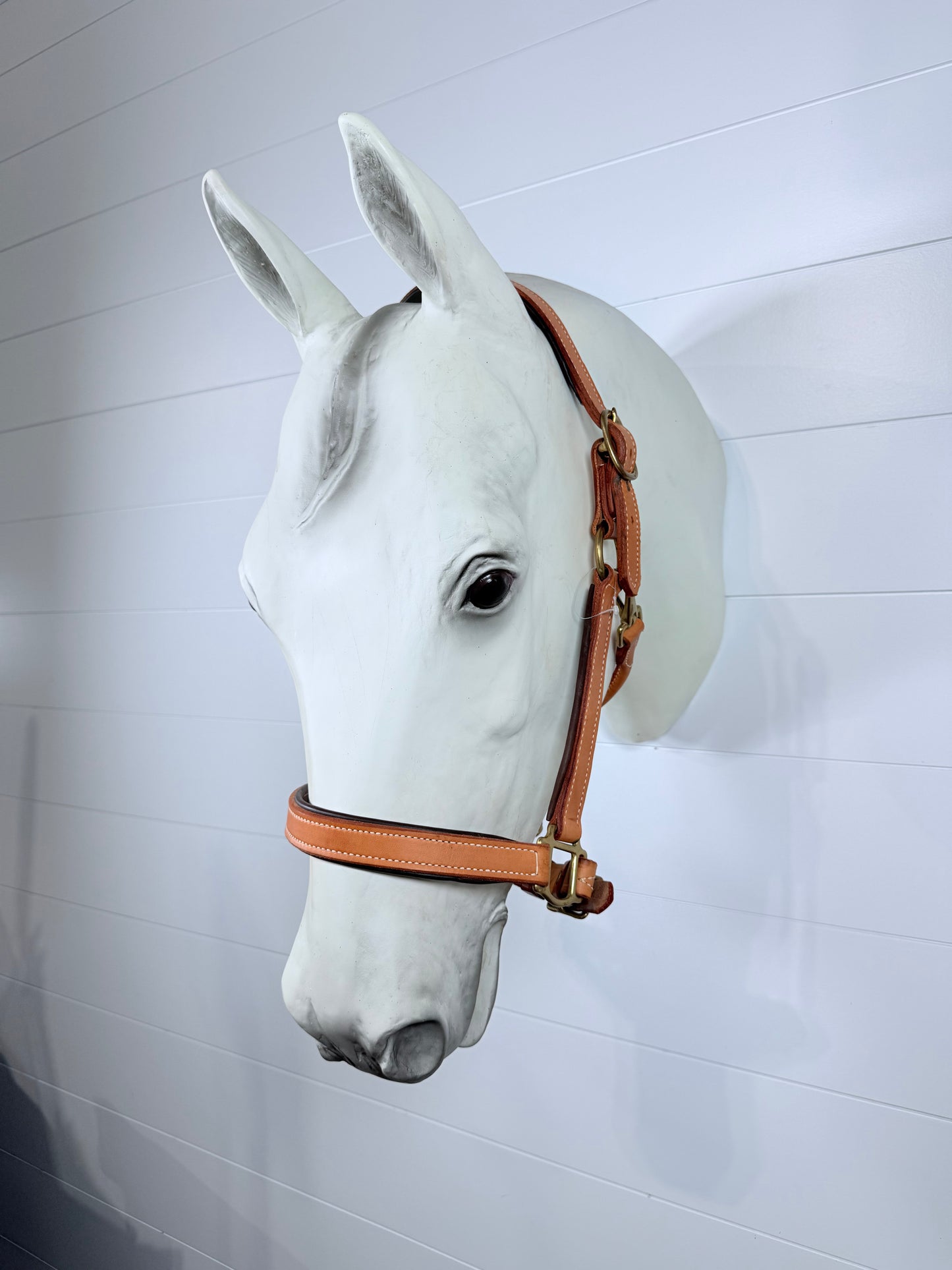 Fully Adjustable Padded Leather Halter, Large Horse Size