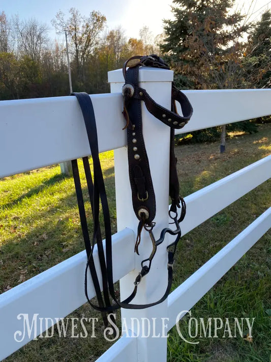 Antique Collector Leather Horse Studded Dot Bridle with Reins - Vintage Bit with Silver Accent Bridles & Headstalls