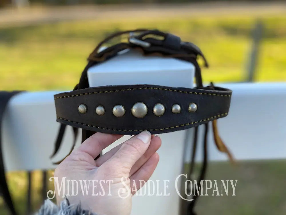 Antique Collector Leather Horse Studded Dot Bridle with Reins - Vintage Bit with Silver Accent Bridles & Headstalls