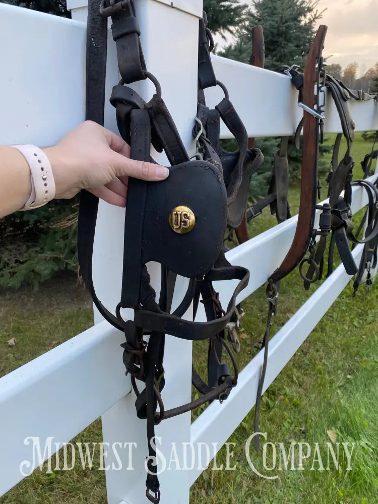 Antique U.S. Cavalry Horse Team Leather Harnesses - Great Condition! Driving Harness