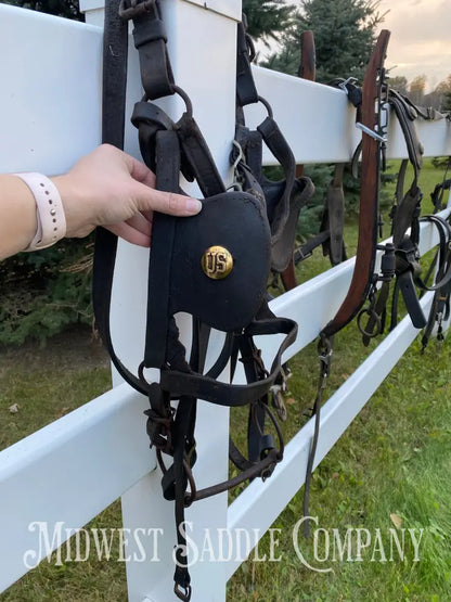 Antique U.S. Cavalry Horse Team Leather Harnesses - Great Condition! Driving Harness