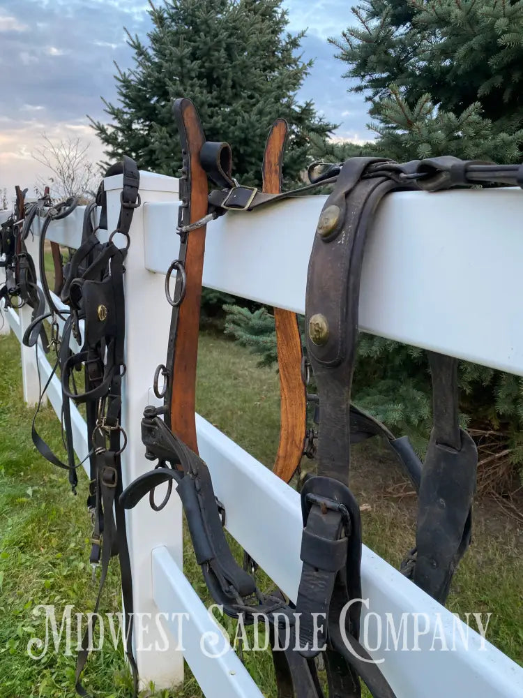 Antique U.S. Cavalry Horse Team Leather Harnesses - Great Condition! Driving Harness