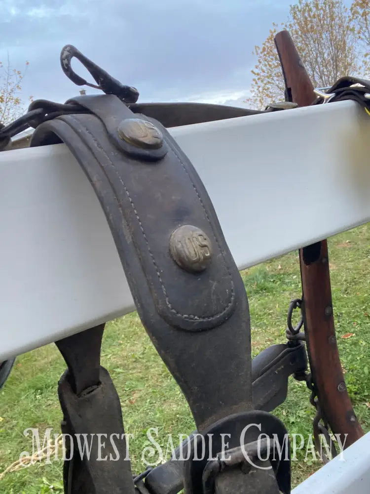 Antique U.S. Cavalry Horse Team Leather Harnesses - Great Condition! Driving Harness