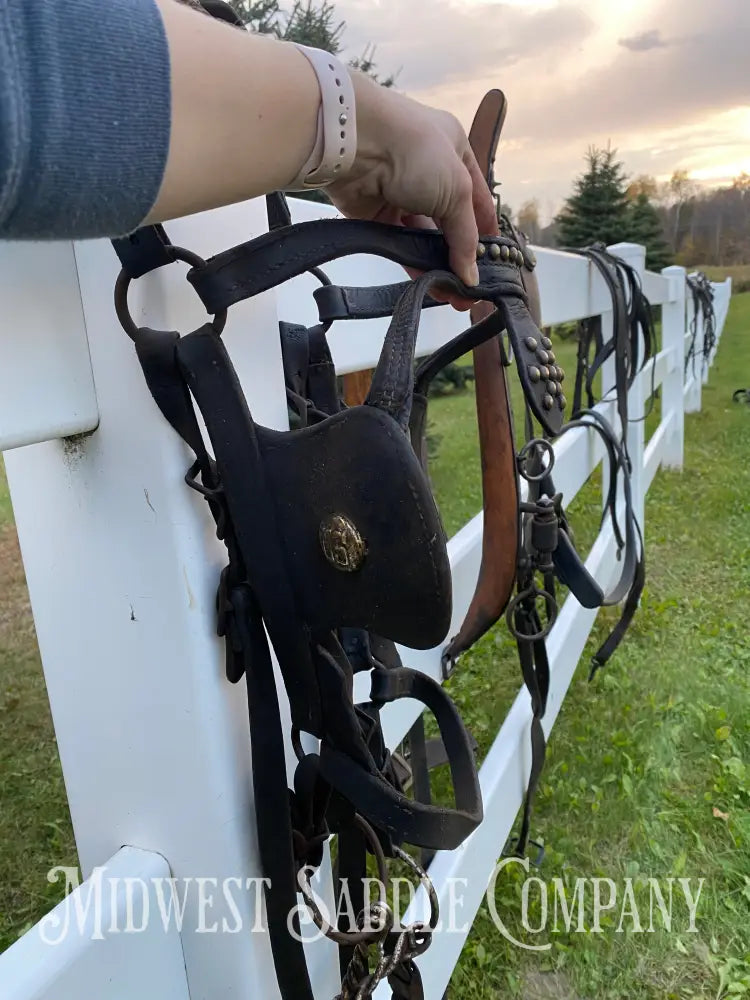 Antique U.S. Cavalry Horse Team Leather Harnesses - Great Condition! Driving Harness