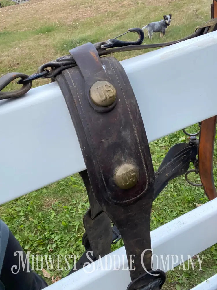 Antique U.S. Cavalry Horse Team Leather Harnesses - Great Condition! Driving Harness