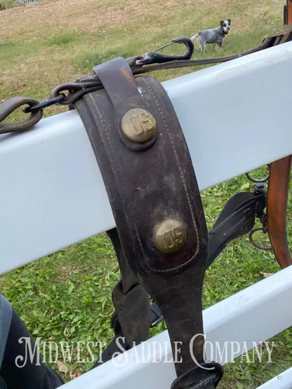 Antique U.S. Cavalry Horse Team Leather Harnesses - Great Condition! Driving Harness